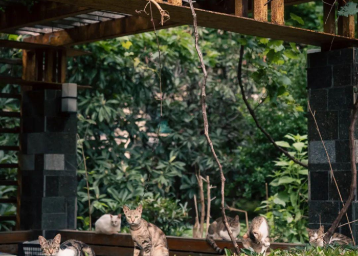 重大通报“789大菠萝开挂透视软件”分享真的有挂给你 重大通报“789大菠萝开挂透视软件”分享真的有挂给你