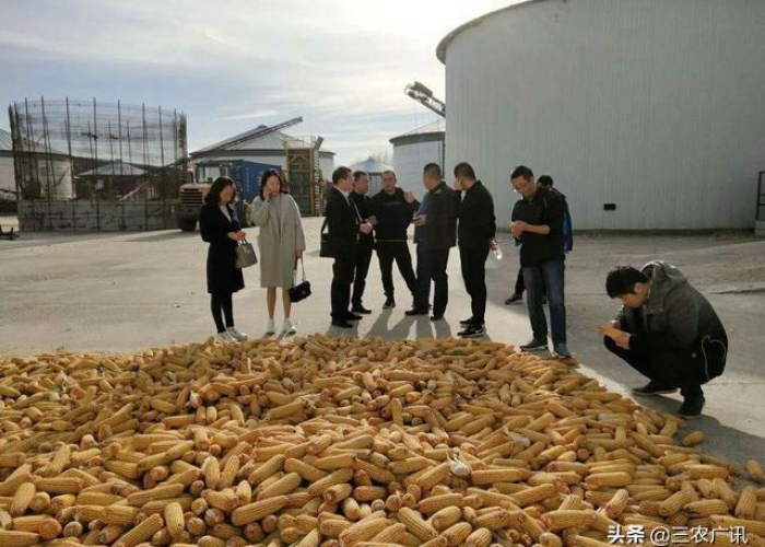 疫情是从什么时候开始的?一个没有简单答案的问题 疫情是从什么时候开始的?一个没有简单答案的问题