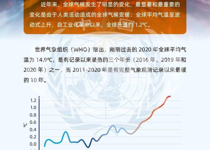 疫情开始于什么时候，一段全球共同记忆的溯源