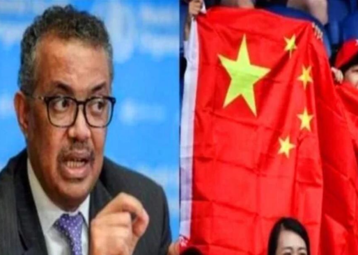 【中国疫情开始是什么时候,中国疫情开始是什么时候开始的】 【中国疫情开始是什么时候,中国疫情开始是什么时候开始的】