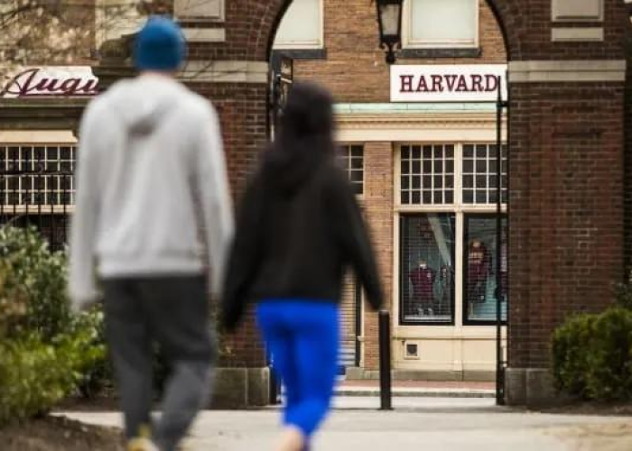 中国疫情何时开始?现状与回顾 中国疫情何时开始?现状与回顾