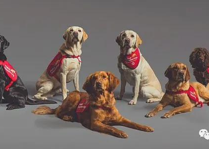 中国疫情何时开始的啊现在（中国疫情何时开始的啊现在还有吗）