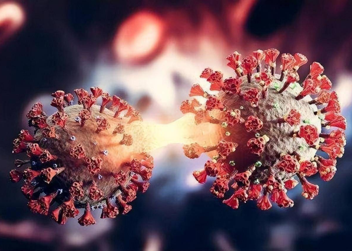 新型冠状病毒肺炎疫情何时结束:新型冠状病毒肺炎疫情何时结束的 新型冠状病毒肺炎疫情何时结束:新型冠状病毒肺炎疫情何时结束的