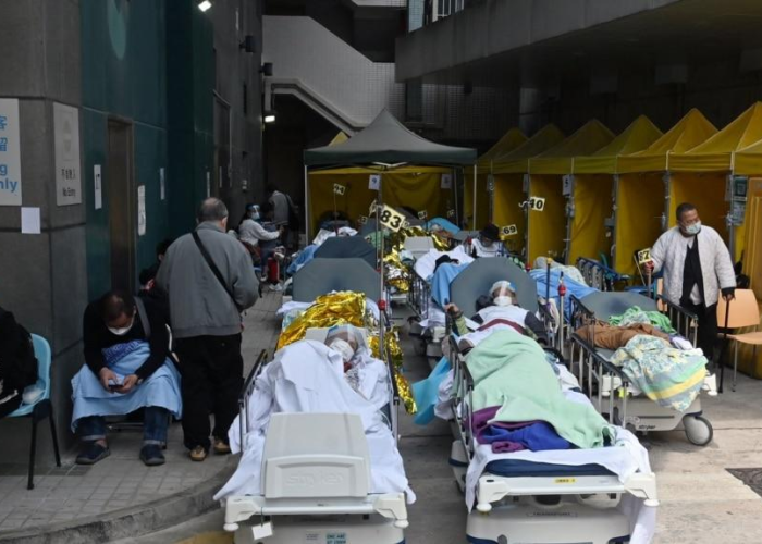 重大通报.“墨韵麻趣其实是有挂的”猫腻万能辅助器 重大通报.“墨韵麻趣其实是有挂的”猫腻万能辅助器