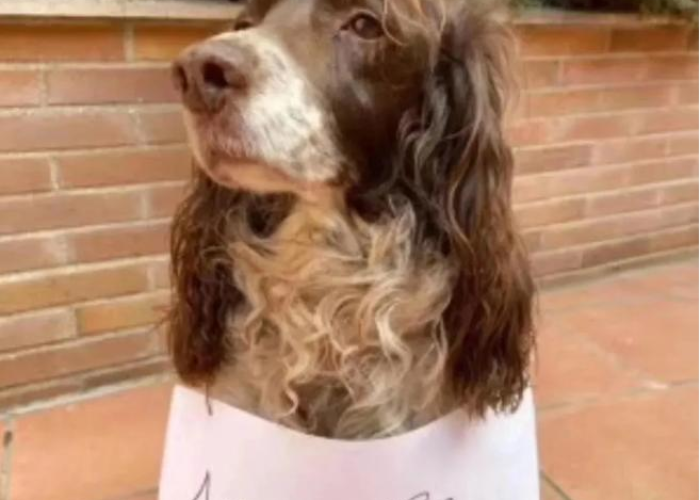 我国疫情什么时候开始封城的（疫情从什么时候开始封城的）