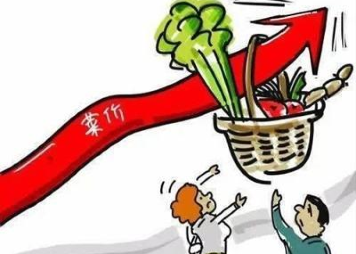 2030年新冠肺炎疫情/2030疫情 2030年新冠肺炎疫情/2030疫情