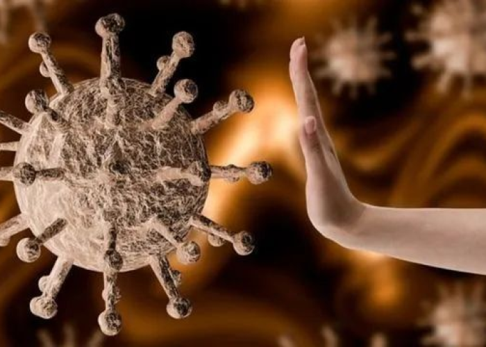 2023年的疫情叫什么病毒呢/2023年的疫情叫什么病毒 2023年的疫情叫什么病毒呢/2023年的疫情叫什么病毒