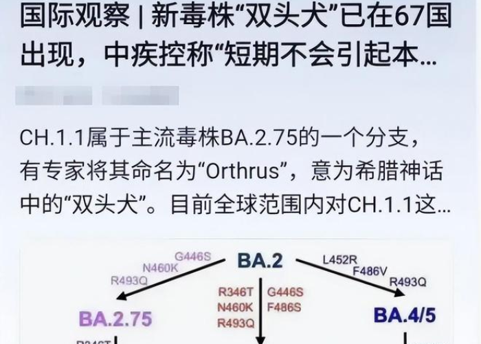 【2023年的疫情结束了吗/2023年的疫情结束了吗现在】 【2023年的疫情结束了吗/2023年的疫情结束了吗现在】