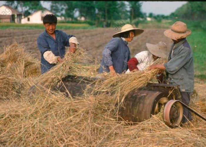 中国这疫情什么时候结束的(中国这疫情什么时候结束的呢) 中国这疫情什么时候结束的(中国这疫情什么时候结束的呢)
