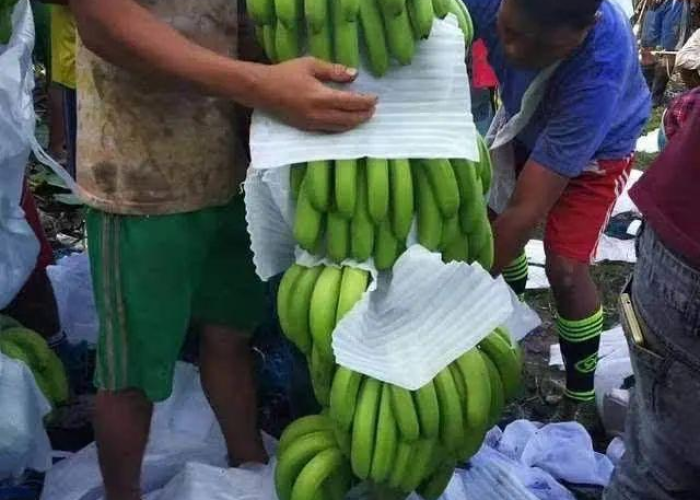 武汉疫情什么时候解封的啊(武汉疫情什么时候解封的啊最新消息) 武汉疫情什么时候解封的啊(武汉疫情什么时候解封的啊最新消息)