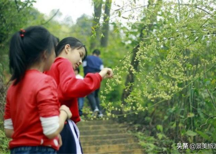 【中国疫情啥时能结束,中国疫情何时能结束】 【中国疫情啥时能结束,中国疫情何时能结束】