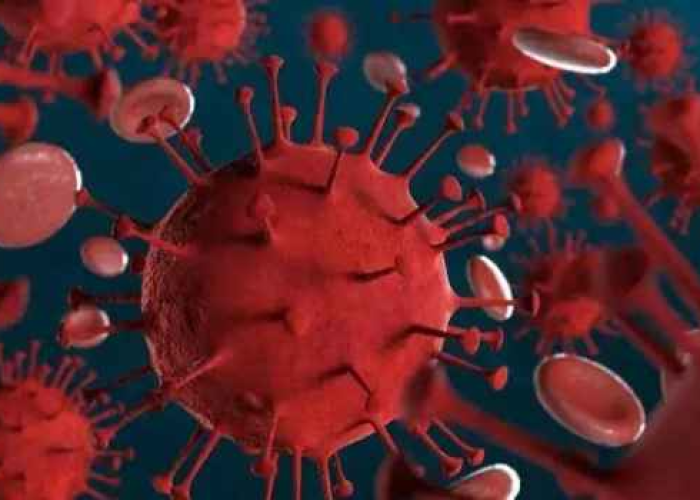 2022年疫情什么时候结束的(2022年疫情什么时候结束的最新消息) 2022年疫情什么时候结束的(2022年疫情什么时候结束的最新消息)