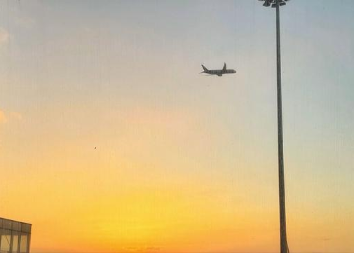 贵州疫情报告最新数据今天，新增本土确诊病例持续下降，防控措施成效显著