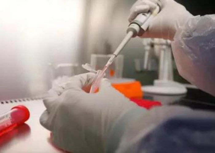 【疫情何时开放的,疫情什么时候开放】 【疫情何时开放的,疫情什么时候开放】