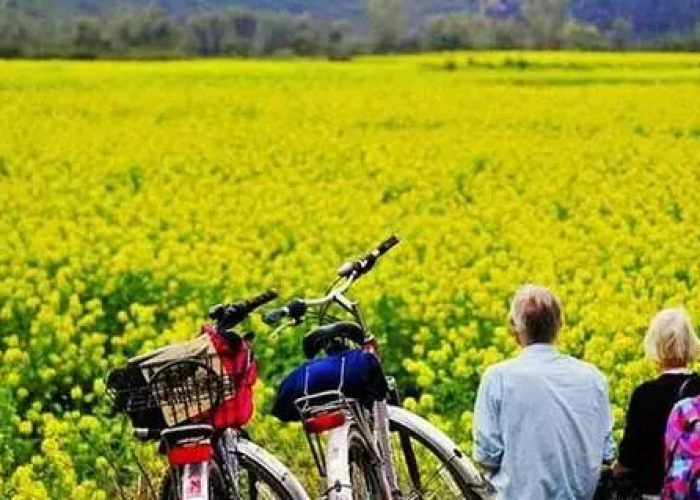 【疫情什么时候结束好想去旅游/疫情什么时候结束好想去旅游了】