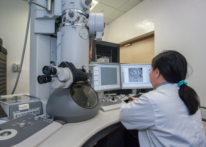 玩家实测科技“新蓝鲸真的有挂吗”［太坑了果然有挂］