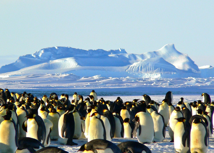 中国疫情什么时候开放国门了/中国疫情什么时候开放国门 中国疫情什么时候开放国门了/中国疫情什么时候开放国门