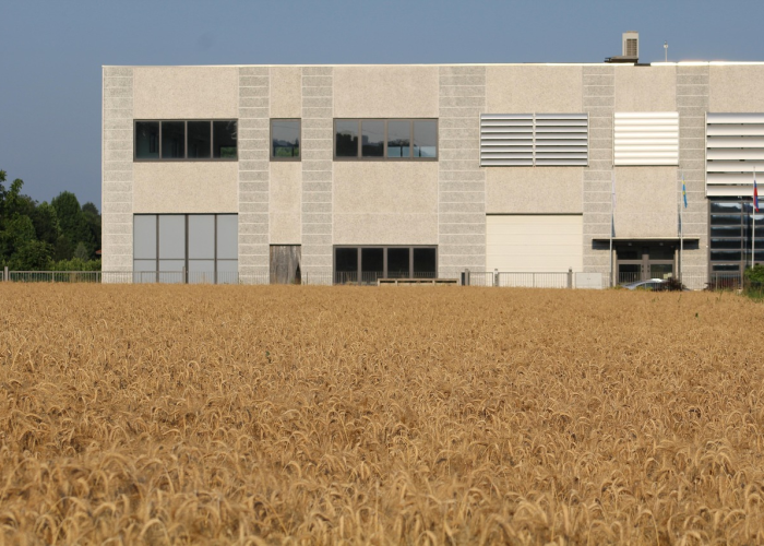 中国疫情开放国门:中国疫情开放国门了吗 中国疫情开放国门:中国疫情开放国门了吗