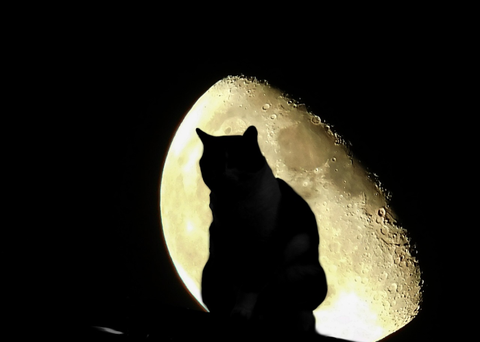 [分享]“全民雀神有挂吗”开挂详细教程