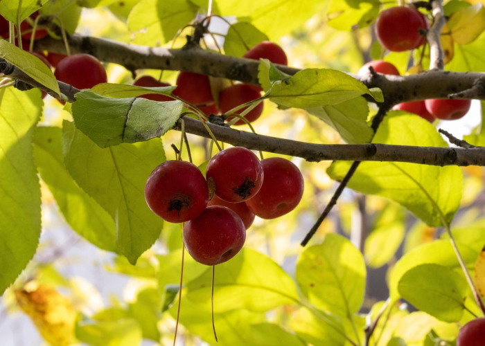 广东疫情实时动态数据:广东疫情实时动态数据最新