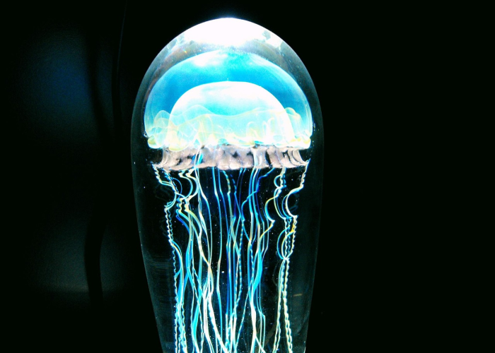 贵州疫情地图及实时播报/贵州疫情地图及实时播报今天 贵州疫情地图及实时播报/贵州疫情地图及实时播报今天