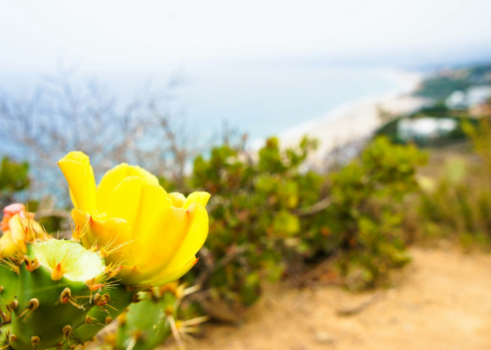 【第一资讯】“新人海炸/金/花是不是有挂”［太坑了原来有挂］