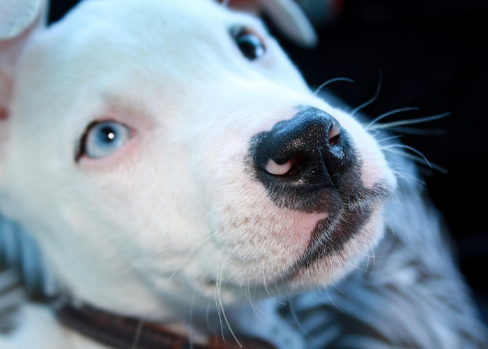 揭秘一下“红龙扑克真的有挂”揭晓插件开挂教程 揭秘一下“红龙扑克真的有挂”揭晓插件开挂教程