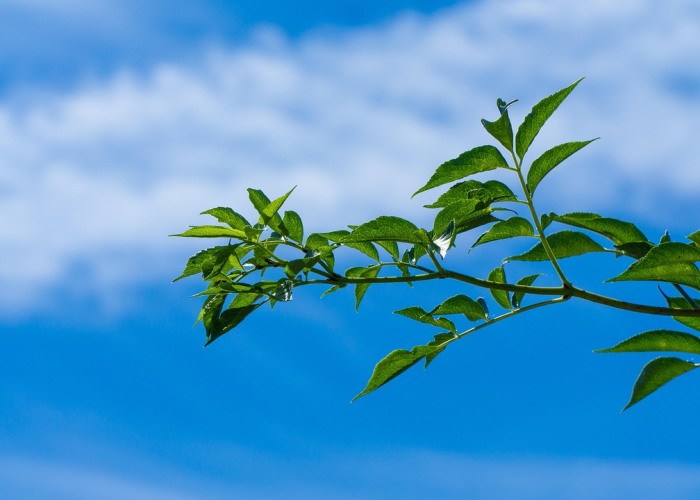 【2020疫情动态信息,2020疫情最新数据查询】 【2020疫情动态信息,2020疫情最新数据查询】