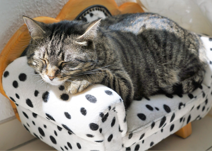 疫情最新动态山东:疫情最新情况 山东 疫情最新动态山东:疫情最新情况 山东