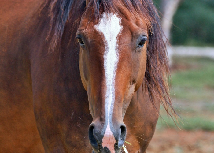 疫情最新通报 上海/疫情最新动态上海 疫情最新通报 上海/疫情最新动态上海