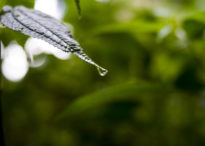 全球疫情最新动态,变异株传播与防控策略调整 全球疫情最新动态,变异株传播与防控策略调整