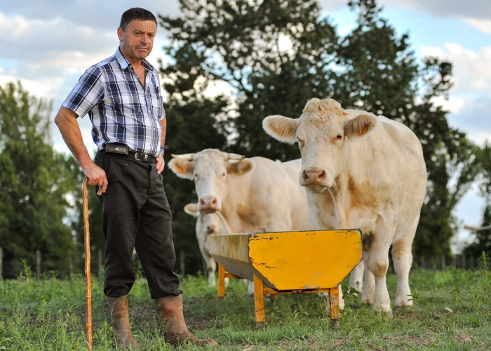 知道“新荣耀牛牛有没有挂”(原来有挂) 知道“新荣耀牛牛有没有挂”(原来有挂)