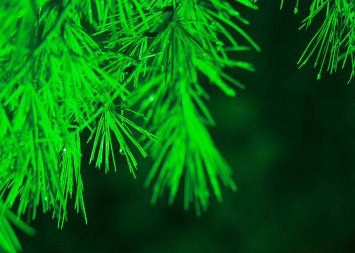 今日重大通报“星星武汉麻将可以开挂吗”［其实是有挂］