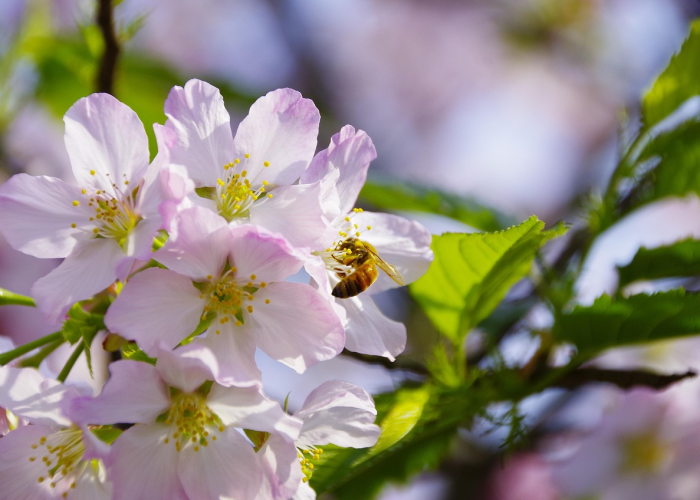 今日重大通报“汇友王者到底可以开透视挂吗”其实确实有挂