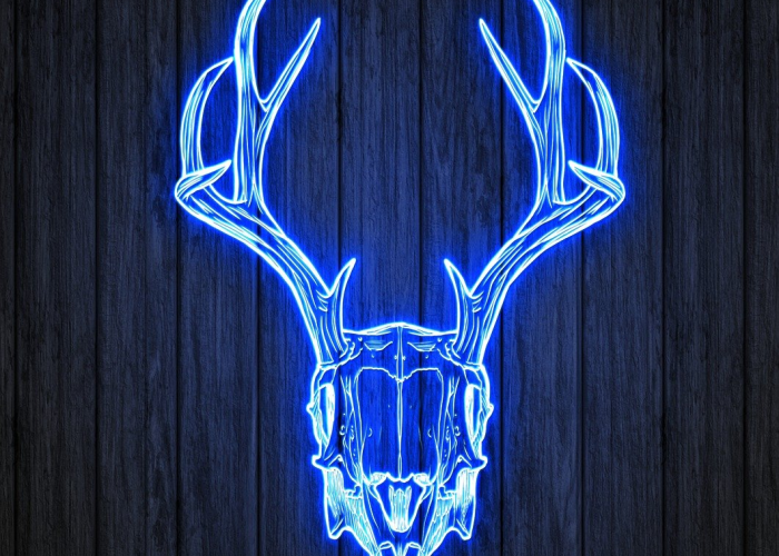 [解答]“天蝎牛牛有挂吗”(确实真的有挂)