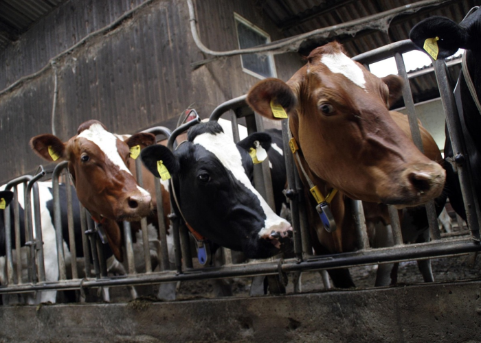 科技重磅消息“微乐福建麻将怎么装挂”［太坑了果然有挂］