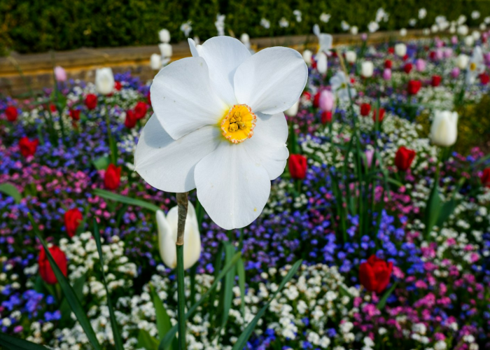 关于“花花生活圈有挂吗?”(确实有挂) 关于“花花生活圈有挂吗?”(确实有挂)