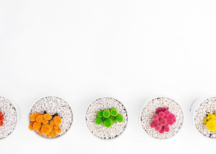 全球疫情数据实时追踪,最新动态与关键解读 全球疫情数据实时追踪,最新动态与关键解读