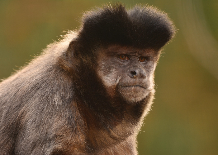 全球最新疫情死亡人数表/全球最新疫情死亡人数表格