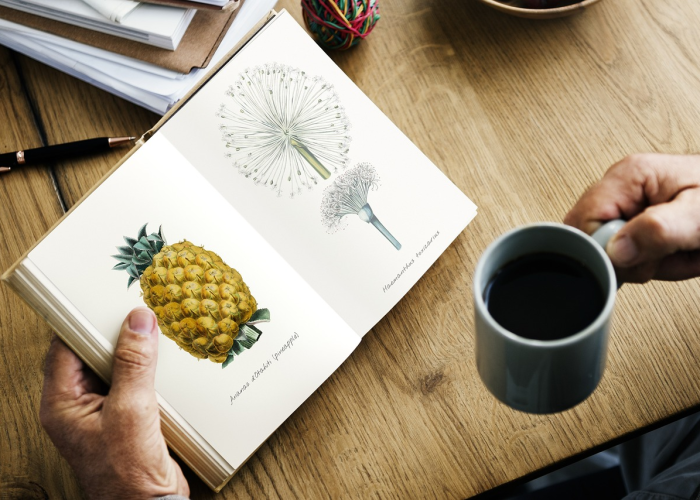 轻松掌握.“开运麻将开挂软件”(玩家翻本必备神器)