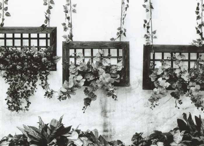 玩家必看“新皇豪大厅拼十到底有没有透视挂吗”其实确实有挂 玩家必看“新皇豪大厅拼十到底有没有透视挂吗”其实确实有挂