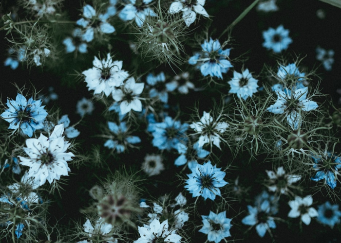 经验总结.“悠悠众娱到底能开挂吗”其实真的能开挂 经验总结.“悠悠众娱到底能开挂吗”其实真的能开挂