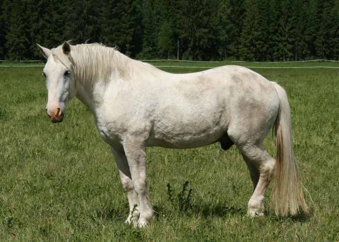 [分析]“新518互游牛牛有没有挂”(确实真的有挂)