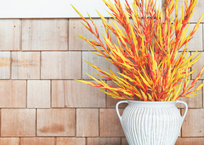 [解答]“七八九大菠萝有挂吗”(确实真的有挂)