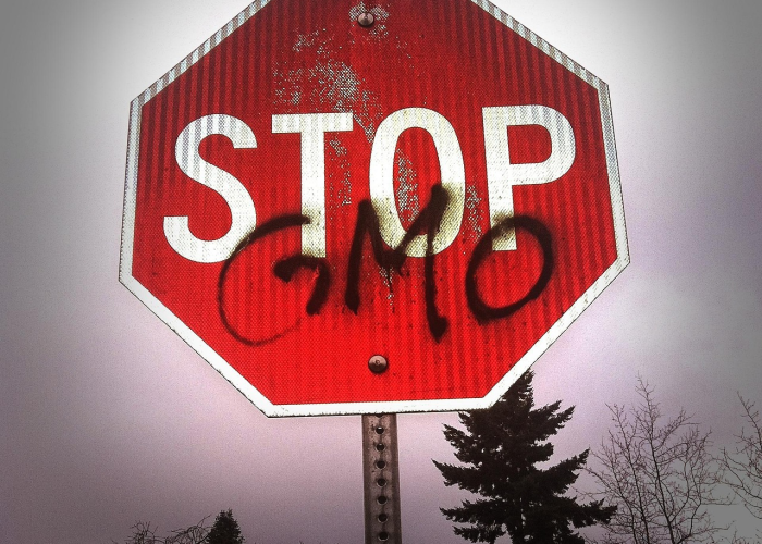 全球疫情死亡人数排名更新，数字背后的生命与警示