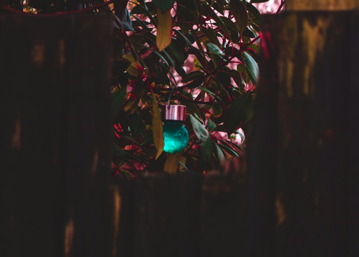 独家分享“炫龙炸/金/花真的有挂吗”［果然有透视挂］