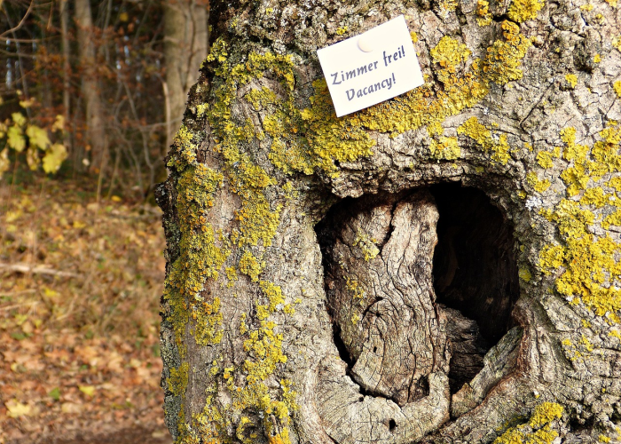 最新引进“衡阳跑胡子有没有挂”［太坑了原来有挂］
