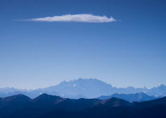 疫情最新动态图片:疫情最新动态图片大全