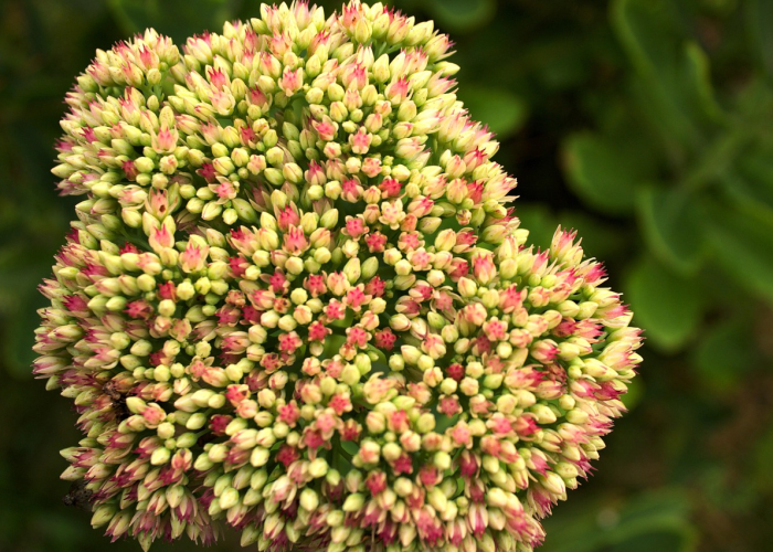 最新消息.“乐乐竞技有挂吗果然有挂”其实真的有挂 最新消息.“乐乐竞技有挂吗果然有挂”其实真的有挂