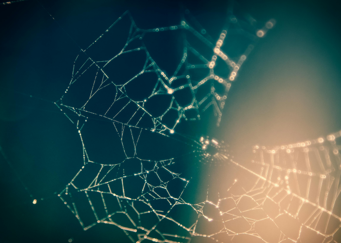 [分析]“畅游互动有没有挂”(确实真的有挂)